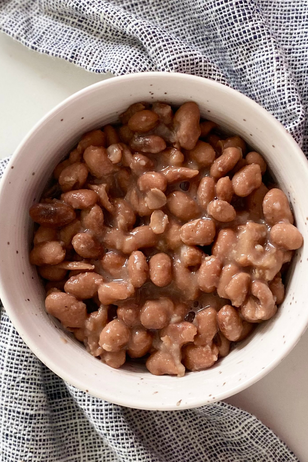 The Best Pinto Bean Recipe Using An Instant Pot   Homemaker On A ...