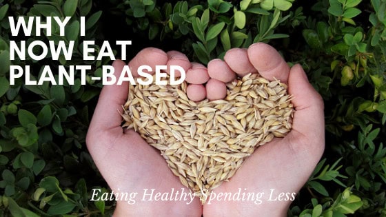 Plant Based Diet and Why I Chose It