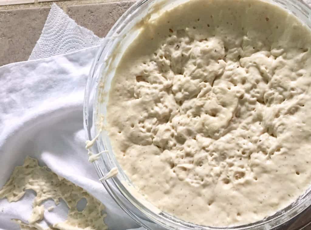 bowl filled with sourdough starter