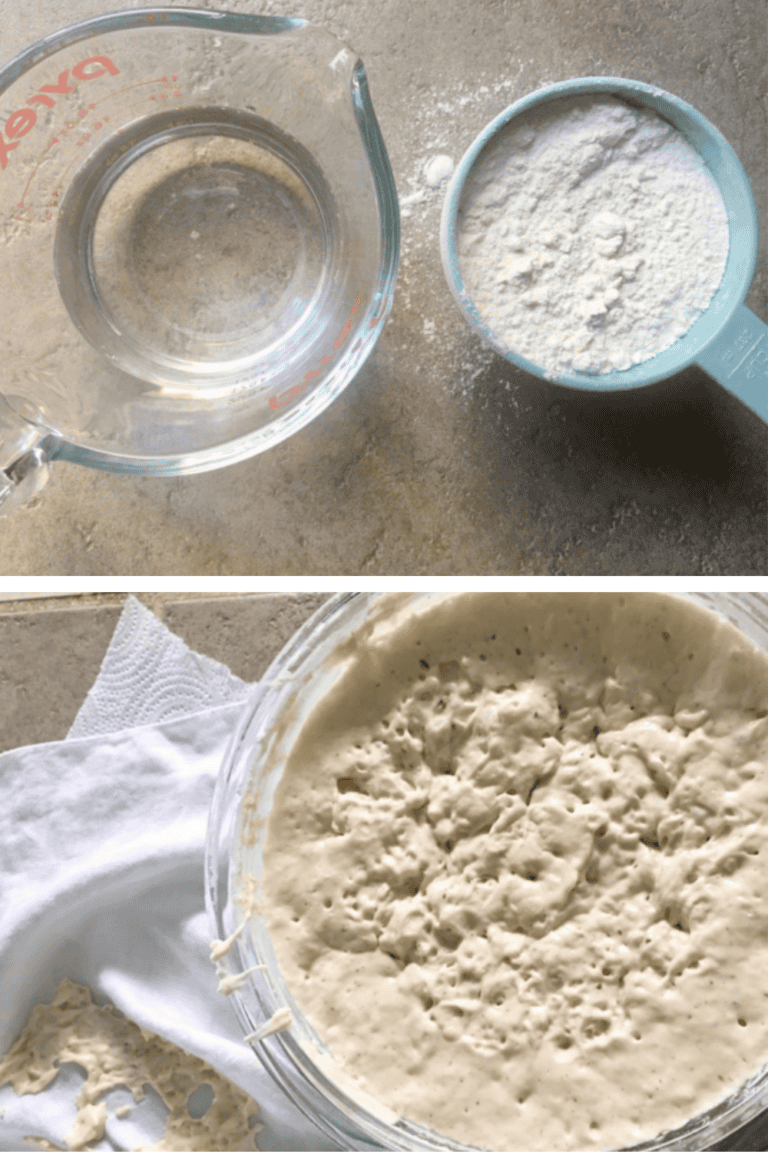 Sourdough Starter Recipe