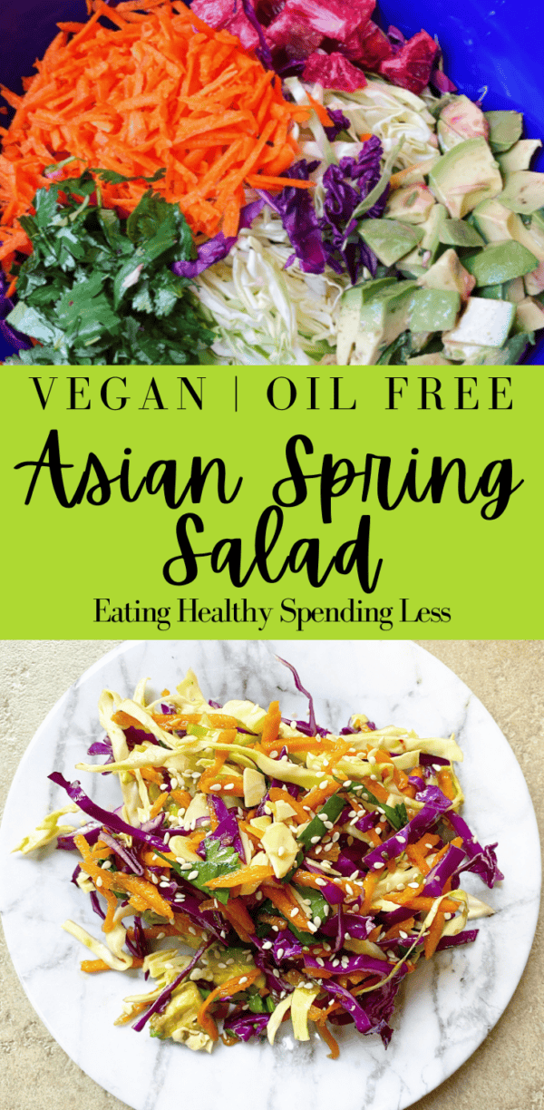 Asian Spring Salad - Homemaker On A Budget