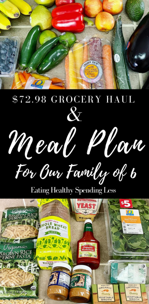 budget grocery haul and meal plan