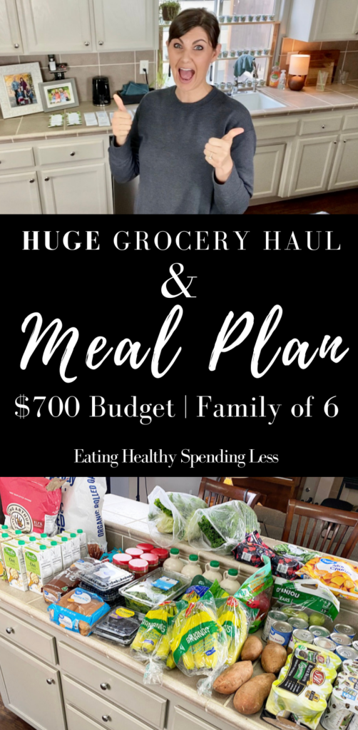 grocery haul and meal plan