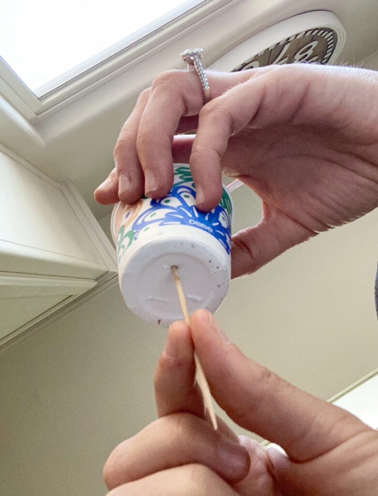 poking holes in dixie cups for proper drainage of seeds