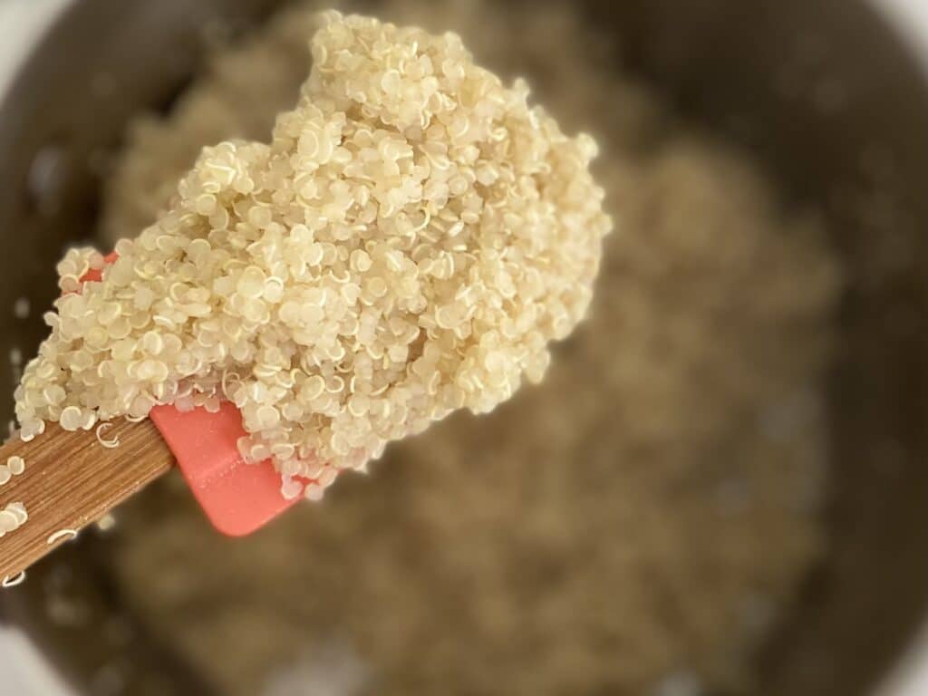 quinoa on a spatula 