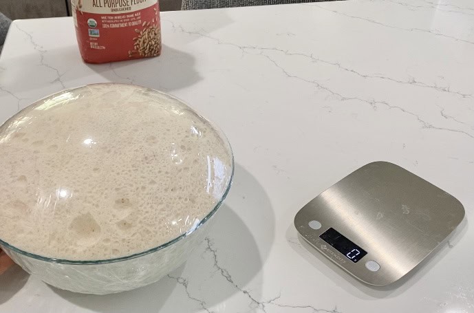 bowl of sourdough dough ready for making sourdough bread