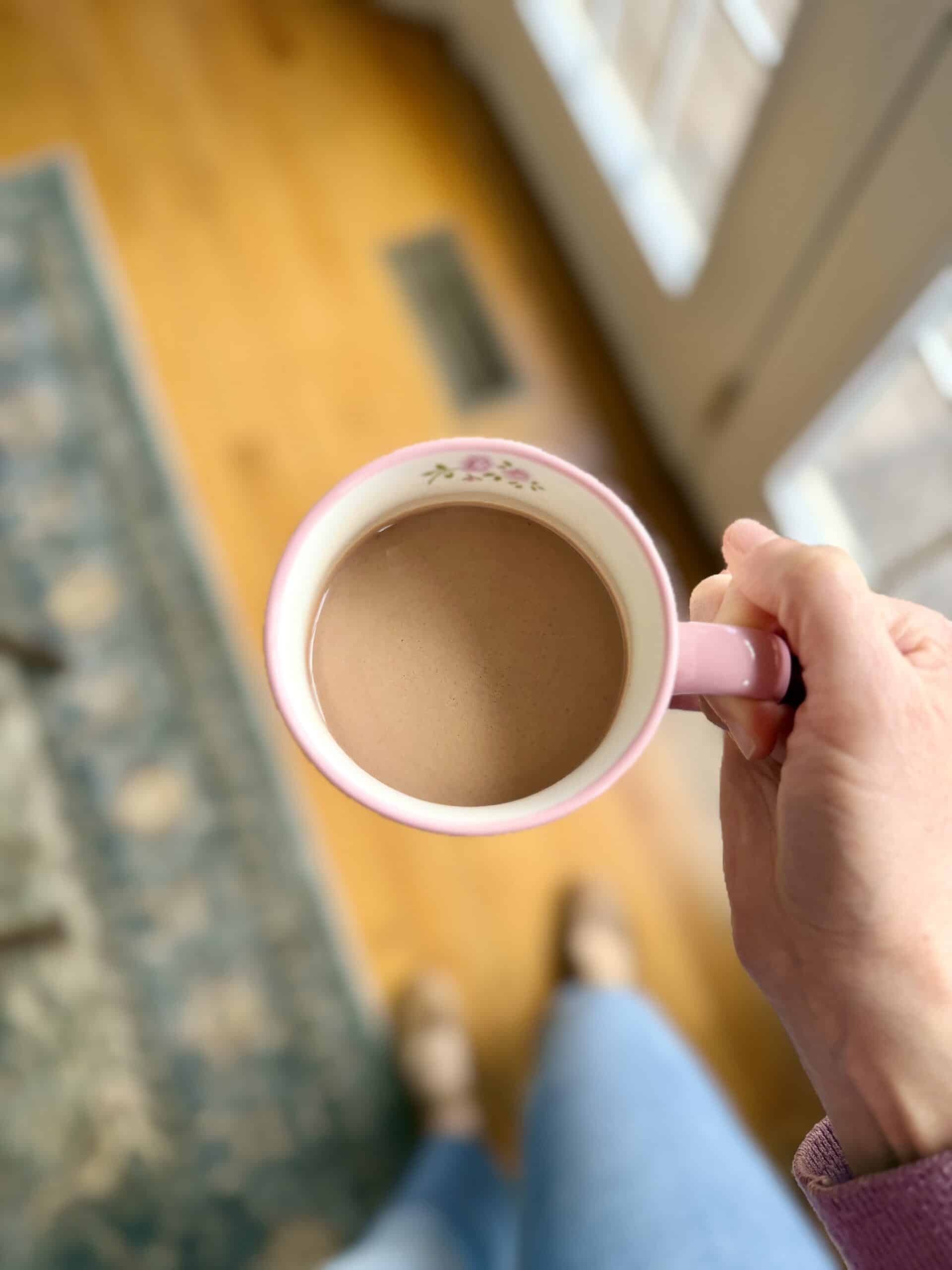 Aimee from Homemaker on a Budget shares best 3-ingredient hot chocolate with cocoa powder.