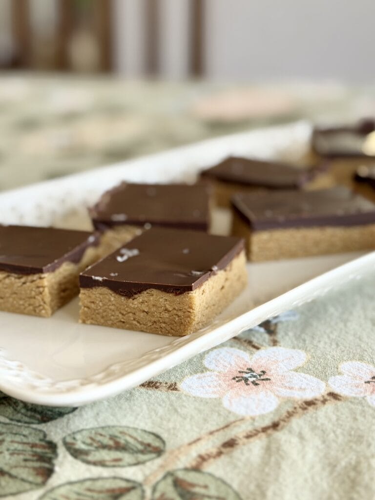 Aimee from Homemaker on a Budget serves a healthy no-bake buckeye bar recipe as a spring treat.