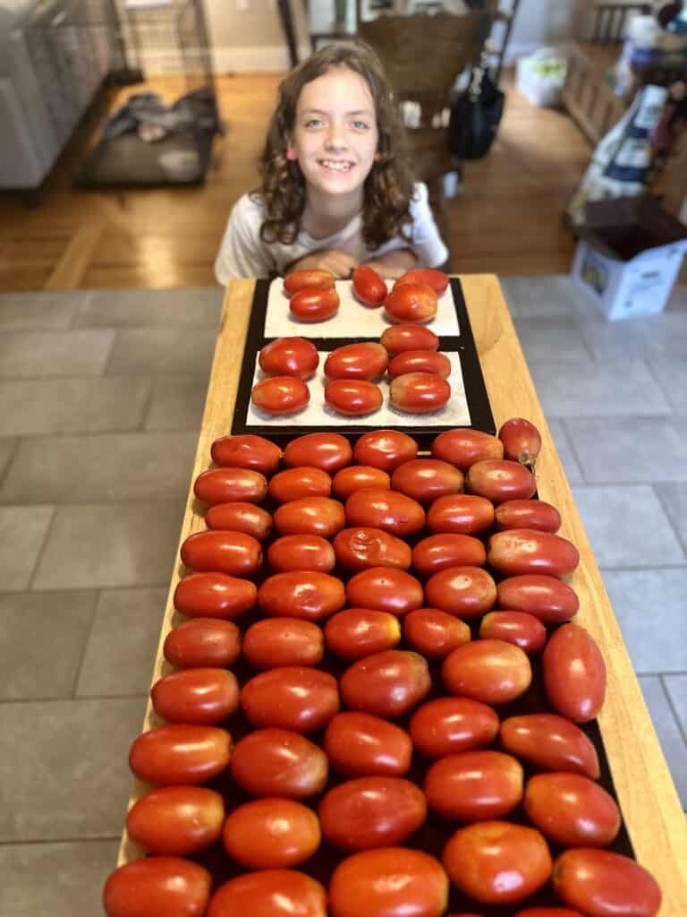 Aimee from Homemaker on a Budget shows us how to use fresh Roma tomatoes to make marinara sauce.