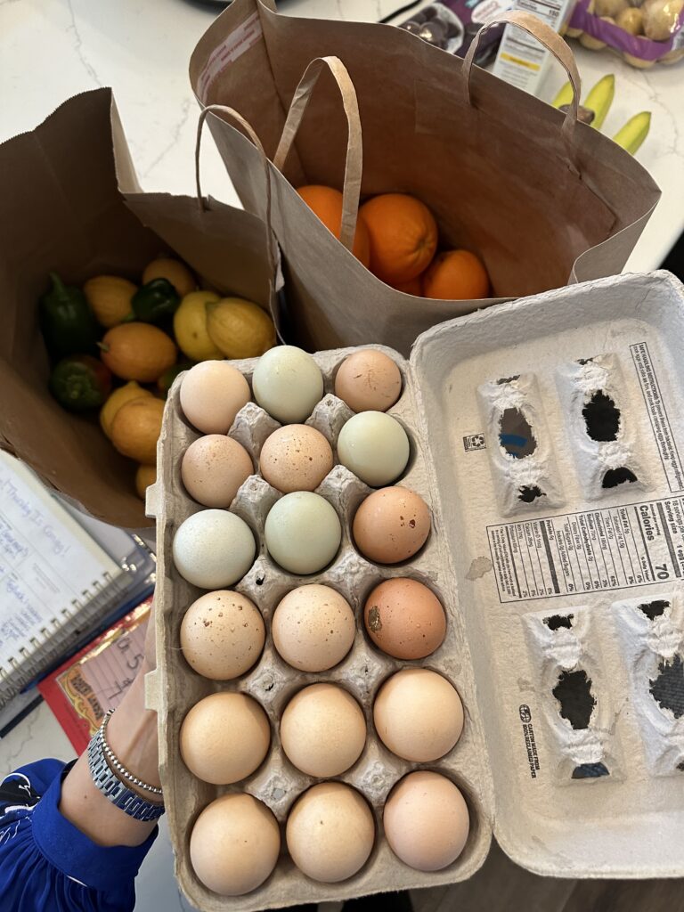 aimee guess cancer diagnosis gift ideas buying groceries for healthy eating