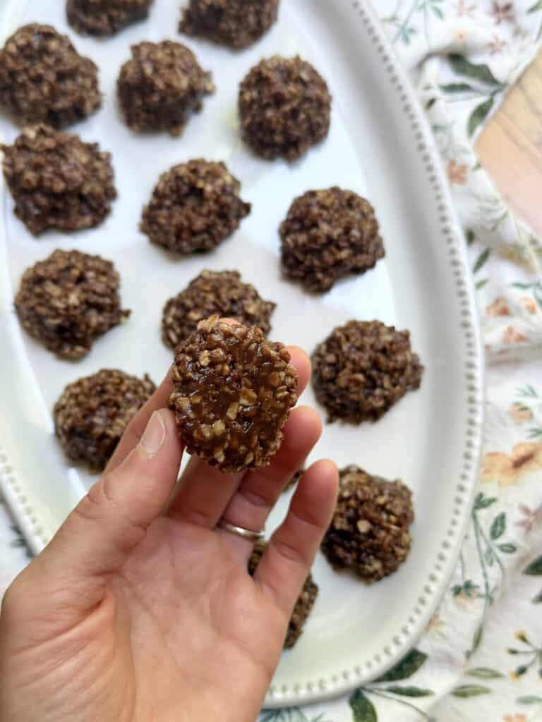Aimee from Homemaker on a Budget shows us how easy it is to make soft and chewy healthy no-bake cookies. 