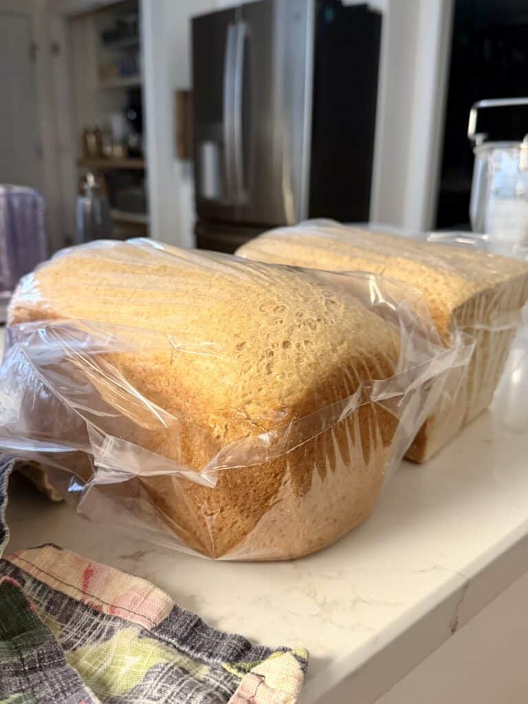 Aimee from Homemaker on a Budget shows us how to store homemade, fresh-milled bread. 