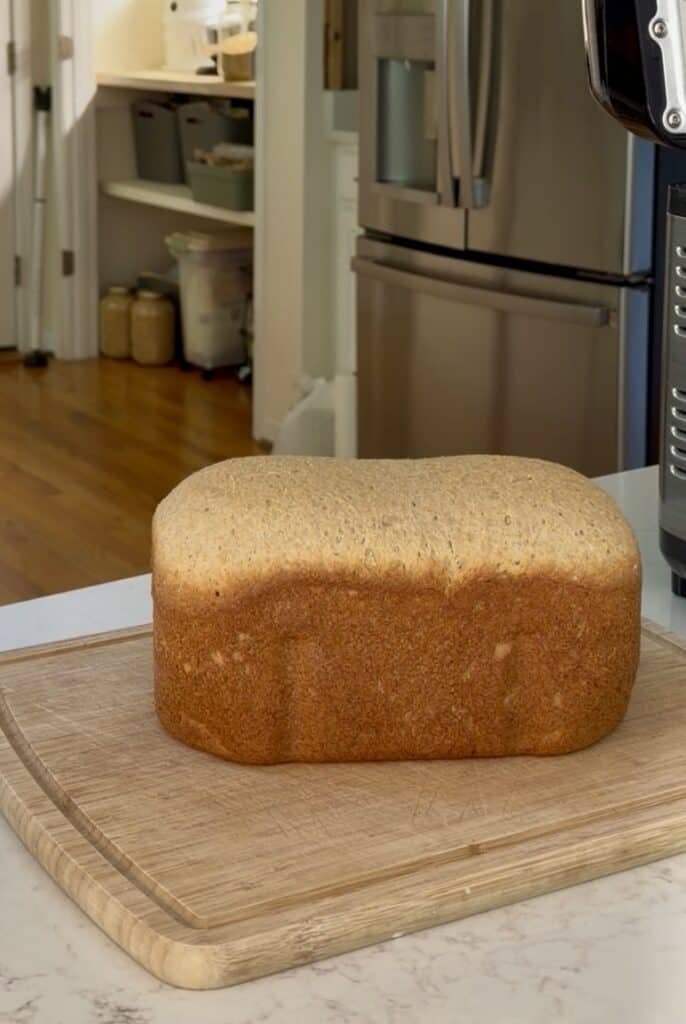 Freshly out of the machine, Aimee from Homemaker on a Budget shows us what a 2-lb loaf will look like after its baked in the Zojirushi bread machine. 