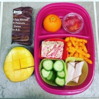 meat and cheese roll-up, cucumber, cheetos, rice krispie treat (homemade), cutie orange, jello cup, mango