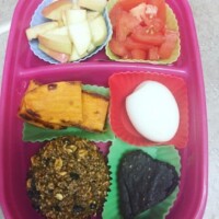 gluten-free pumpkin oatmeal muffin, oatmeal brownie bite, roasted sweet potatoes, hard boiled egg, apple slices, tomato slices