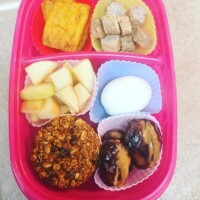 gluten-free pumpkin oatmeal muffin, peanut butter filled dates, apple slices, hard boiled egg, roasted sweet potatoes, sausage