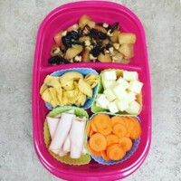 boiled apples with raisins and hazelnuts, fritos, cheese cubes, turkey roll-ups, and carrot chips