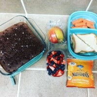 gluten-free meat and cheese sandwich, carrots, Nut-Thins, fruit salad, apple with peanut butter, breakfast bars