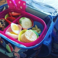 Glutino crackers, cheese slices, hard boiled egg, cucumbers, strawberries, blueberry oatmeal muffin